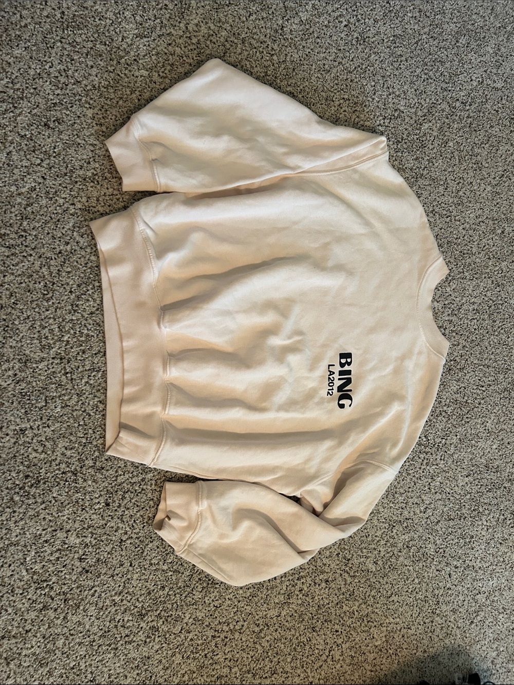 Anine Bing Light Pink Sweatshirt Organic Cotton | Size XS
